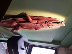 picture-旅马餐厅(茅家埠店)