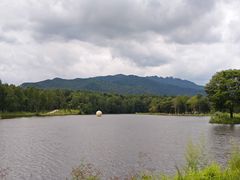 -汤旺河林海奇石景区