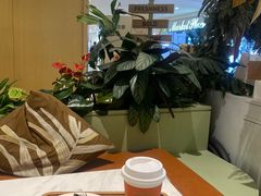 -Peet's Coffee皮爷咖啡(德基店)