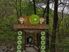 -大岭沟猕猴桃谷风景区
