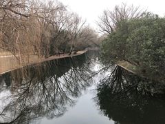 -上海共青森林公园