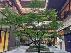 -瑞虹新天地月亮湾