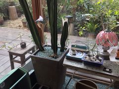 -时光花园(白鹭洲店)