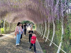 -同里国家湿地公园