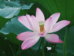 -长春市南湖公园