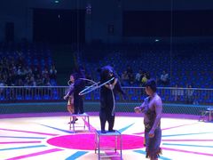 马戏表演-西安秦岭野生动物园