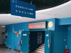 -海合安青岛极地海洋公园