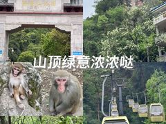 -黔灵山公园