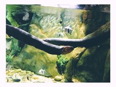 -福州罗源湾海洋世界旅游区