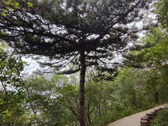 -北京西山国家森林公园