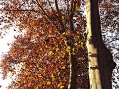 iphone_upload_pic-河南省黄河迎宾馆