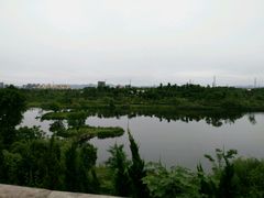 -白鹭湾湿地公园