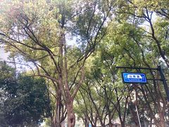 -杭州半山国家森林公园