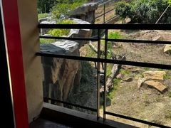 -宁波野生动物园