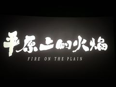 -中影国际影城(神农万达广场CINITY店)