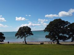 -Takapuna Beach Cafe