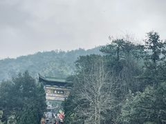 -姑婆山旅游区