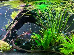 -上海海洋水族馆