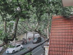 -上海市皮肤病医院(武夷路院区)