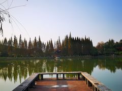 -宜兴龙背山森林公园