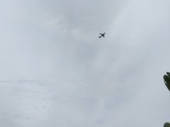 -空港花田景区
