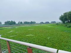 -滆湖低碳生态公园