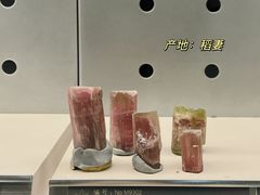 -中国地质博物馆