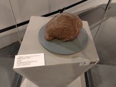 -北京周口店北京人遗址博物馆