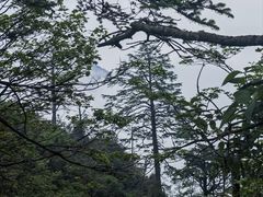 -峨眉山风景名胜区