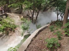 -北京西山国家森林公园