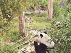 -青藏高原野生动物园