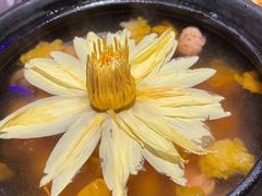 -映水芙蓉(上海万象城店)