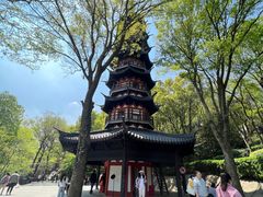 -上海佘山国家森林公园西佘山园