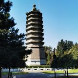 古塔公园寻觅古塔