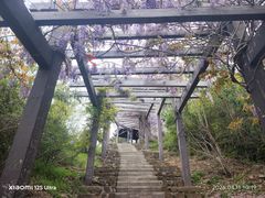 -缥缈峰景区
