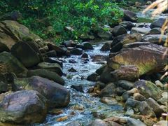 -广州白江湖森林公园