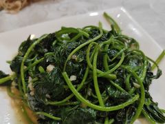 -阳江餐厅·30年老字号·粤菜海鲜大排档