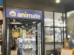 -Animate(工人体育场东路店)