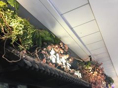 门面-杏花堂·山西菜馆(晋中万达店)