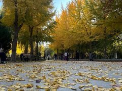 -西清公园