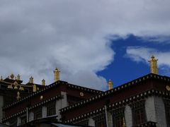 -漫香咖啡·云南小粒咖啡