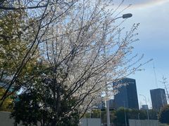 -Primo·丽莫意大利窑烤披萨