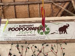 -大象粑粑造纸公园