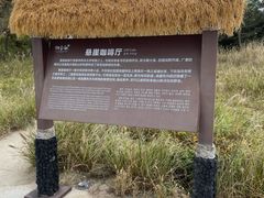 -悬崖咖啡厅