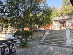 -泰山风景名胜区-普照寺