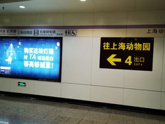 -上海动物园(地铁站)