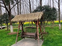 -合肥滨湖国家森林公园