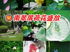 -南翠屏公园