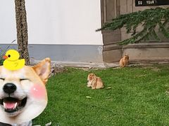-北京友谊宾馆·俄罗斯餐厅