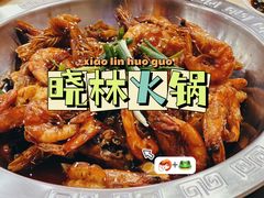 -晓林火锅(安定门店)